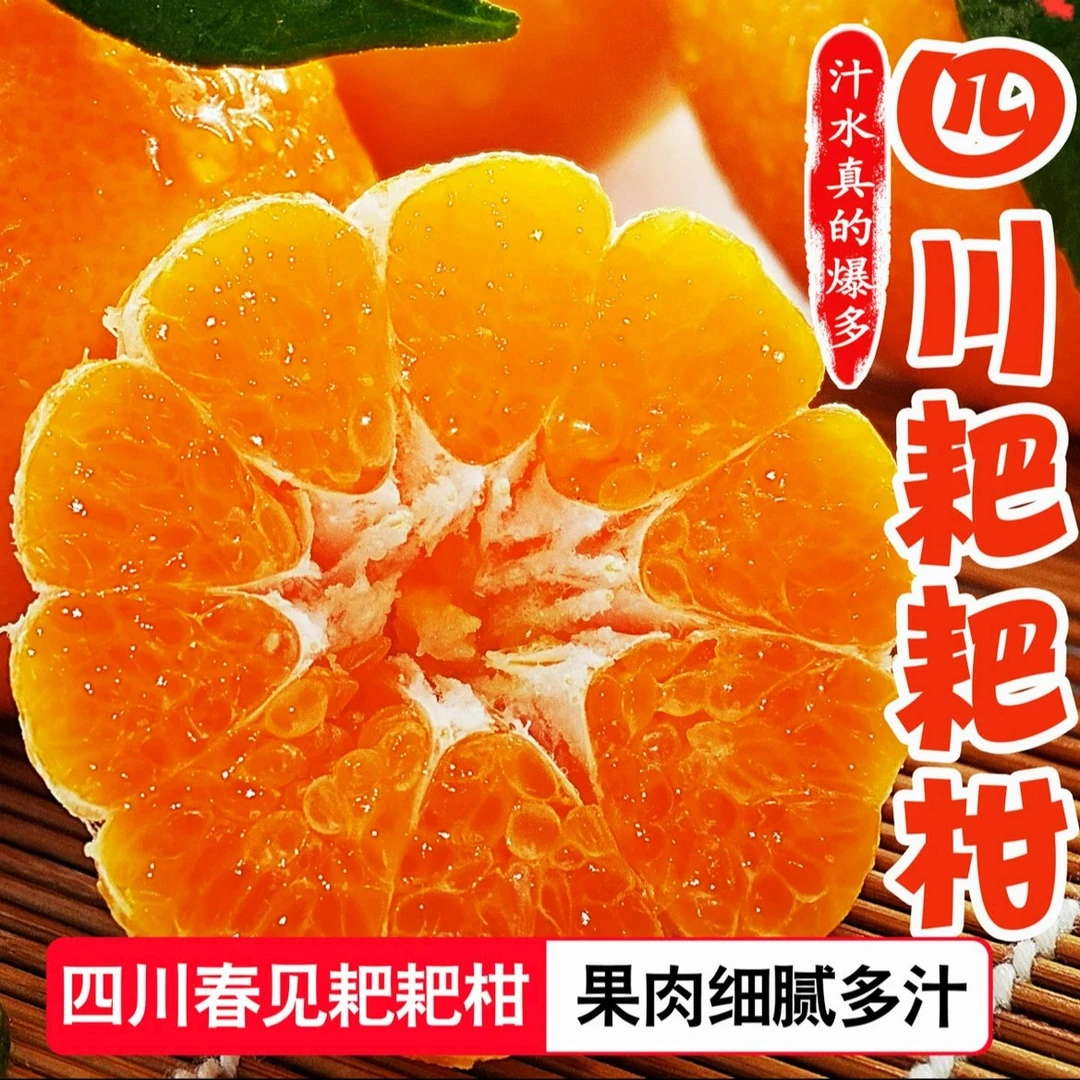 【耙迭香】正宗四川春见耙耙柑应季水果孕妇水果新鲜现摘5/8斤