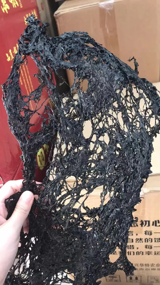 正宗紫菜头水无沙免洗天然干货装新晒