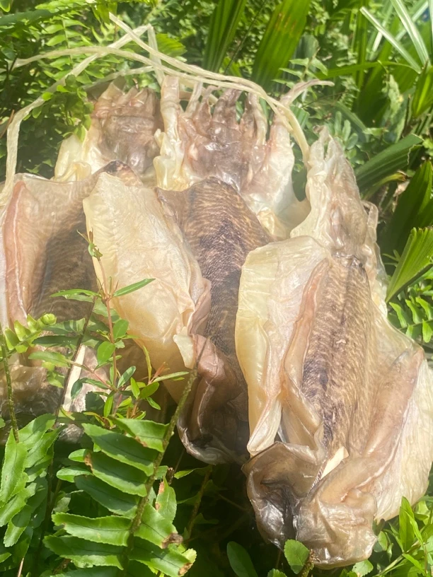 墨鱼干一斤好吃的厚实