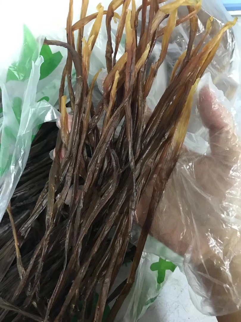 鱿鱼须干货南北干贝海鲜