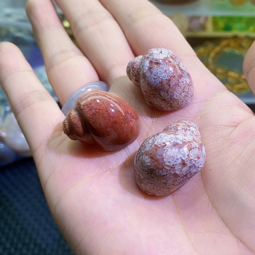 【闪购商品】烟晶手链未镶嵌珊瑚玉田螺