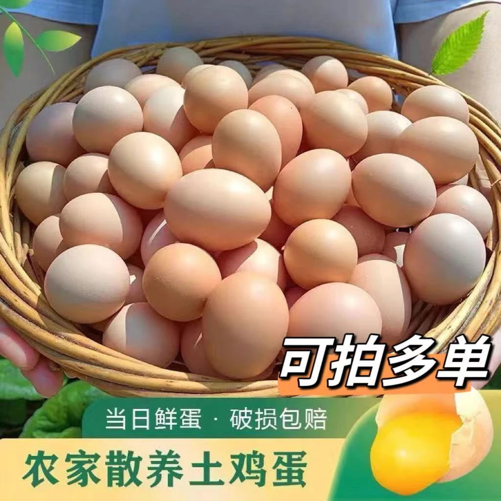 农家山林散养土鸡蛋虫草蛋粉壳鸡蛋初生蛋42±3g/枚