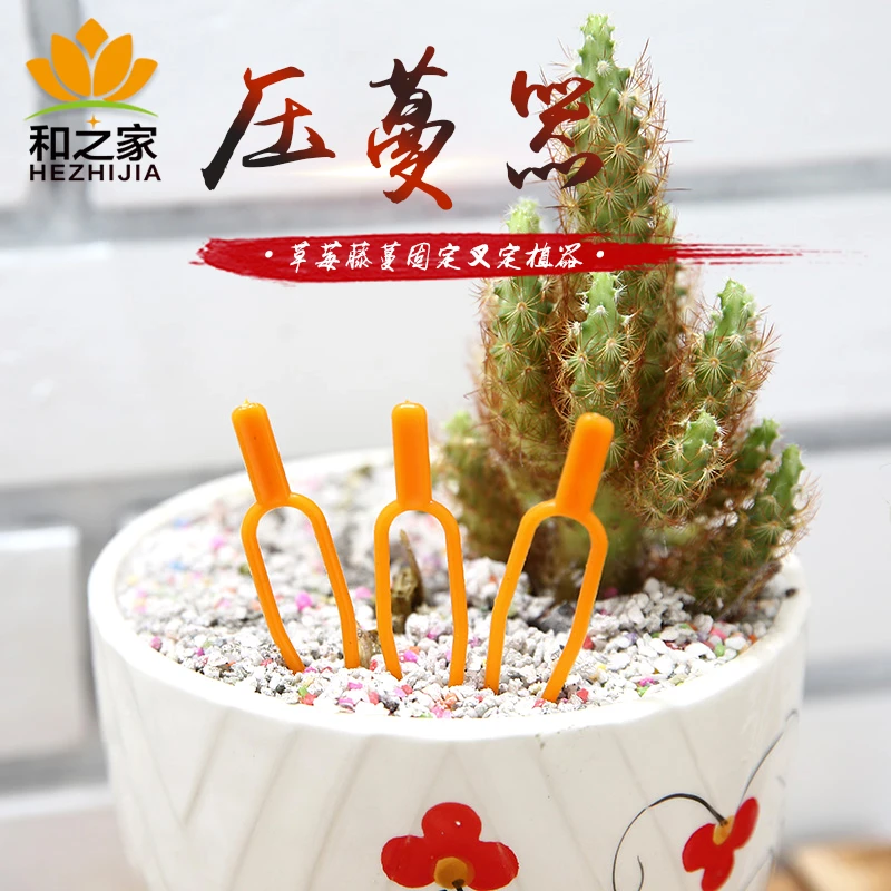 直销塑料植物压蔓器压蔓卡地膜固定卡匍匐茎固定夹草莓定植叉