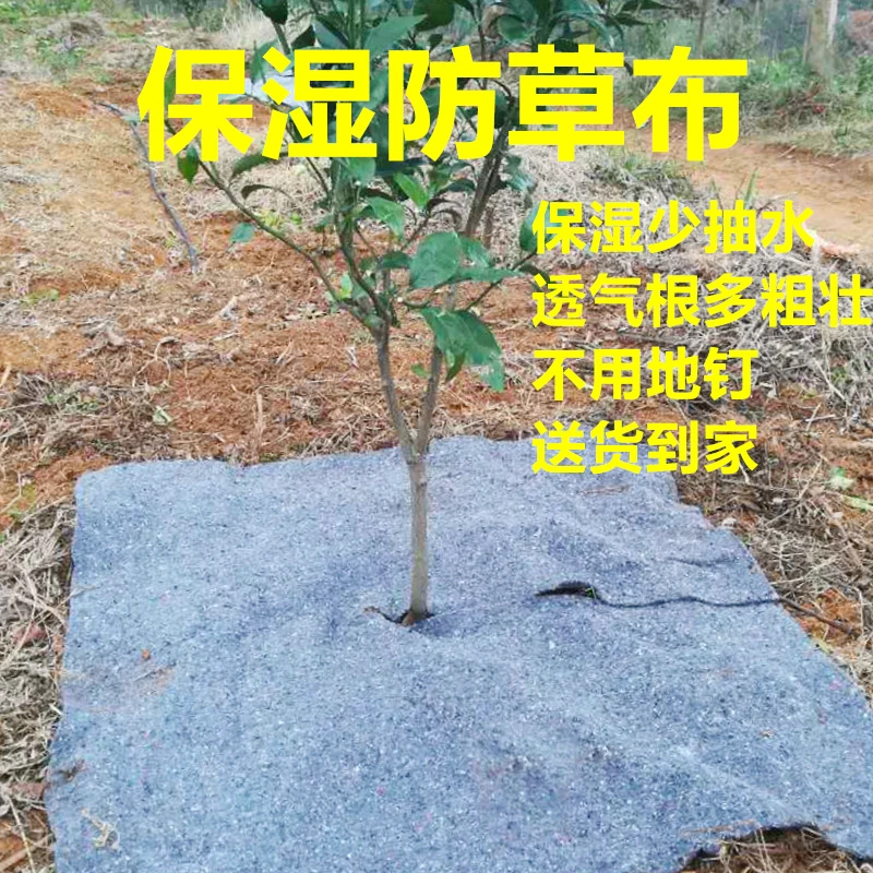 果园果树包树头护根保暖保温防寒防冻保湿防晒防草除草布农用地膜