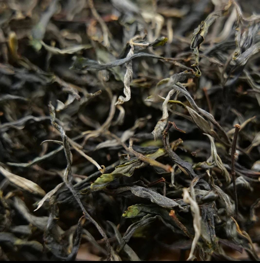 2025年 冰岛老寨头春散料 （春茶/散料）