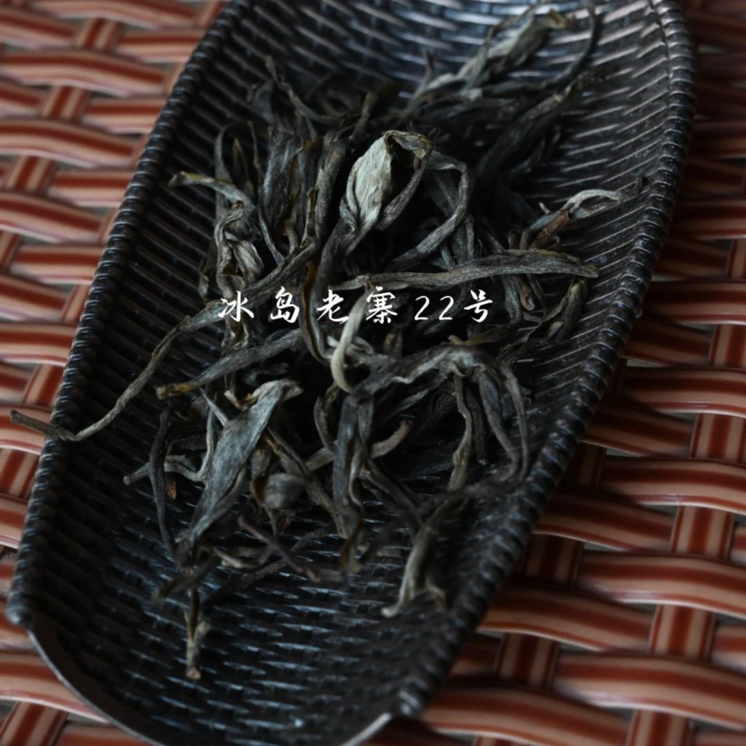 冰岛老寨22号 2025年古树头春散茶 饱满生普浓郁柔滑精制花果香