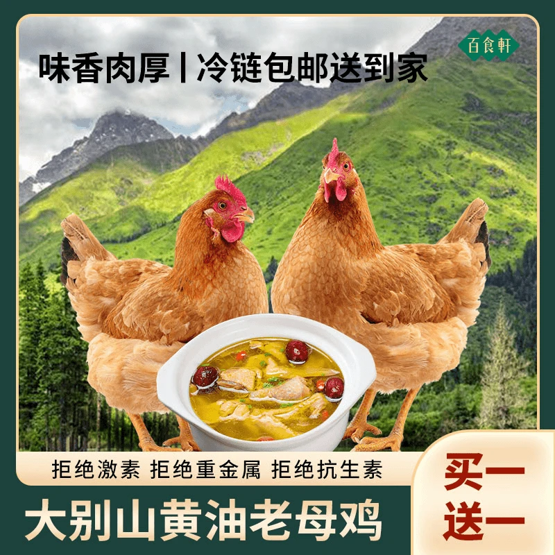 【油黄汤鲜】大别山黄油老母鸡草鸡正宗粮食土鸡现宰现杀煲汤顺丰