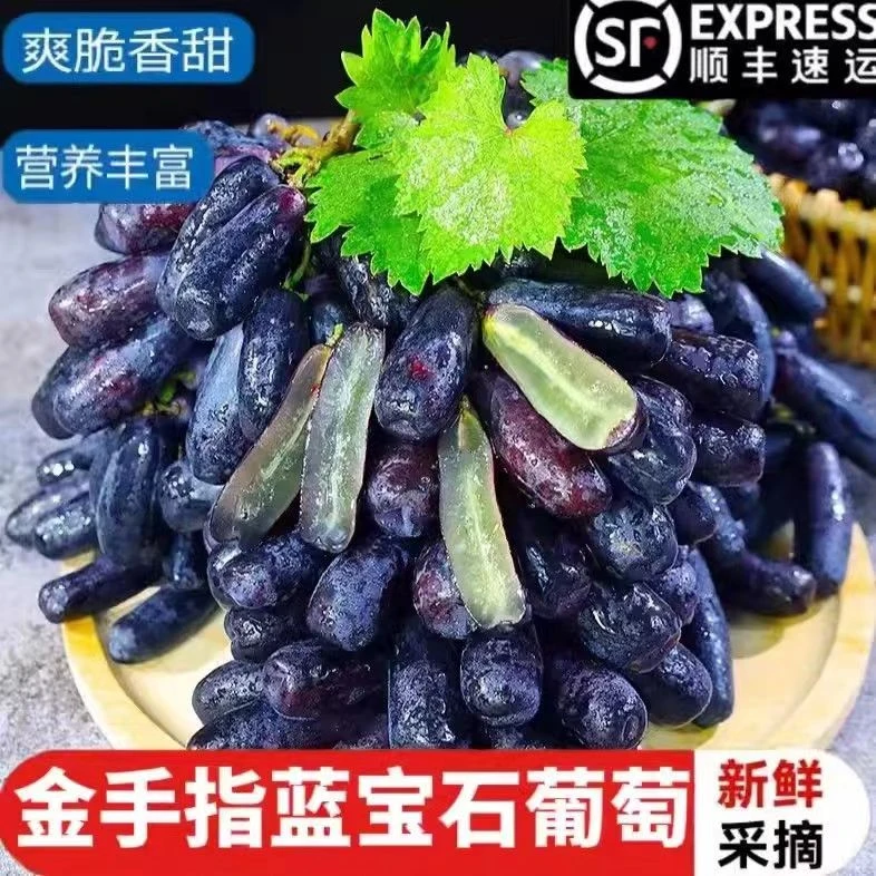 [ 顺丰包邮]正宗蓝宝石葡萄金手指无籽黑提新鲜水果美人指提子