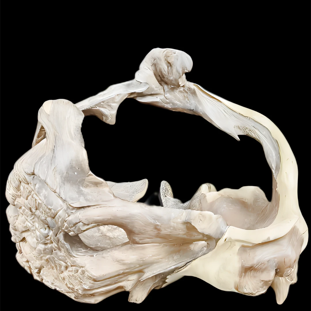 金丝红木自然随形空漏透镂空果篮  风化老料造型奇特根雕摆件