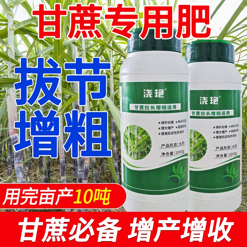 根系拉长膨大素增长甘蔗叶面肥甘蔗生长素增甜增长剂防裂拔节增产