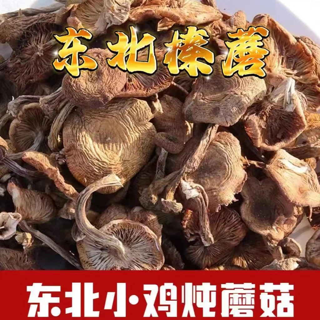 东北野生榛蘑 干货自然晾晒东北特产小鸡炖蘑菇新货250克/500克