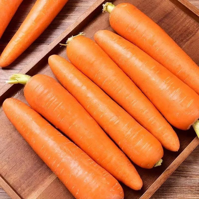 水洗胡萝卜 约500g/份