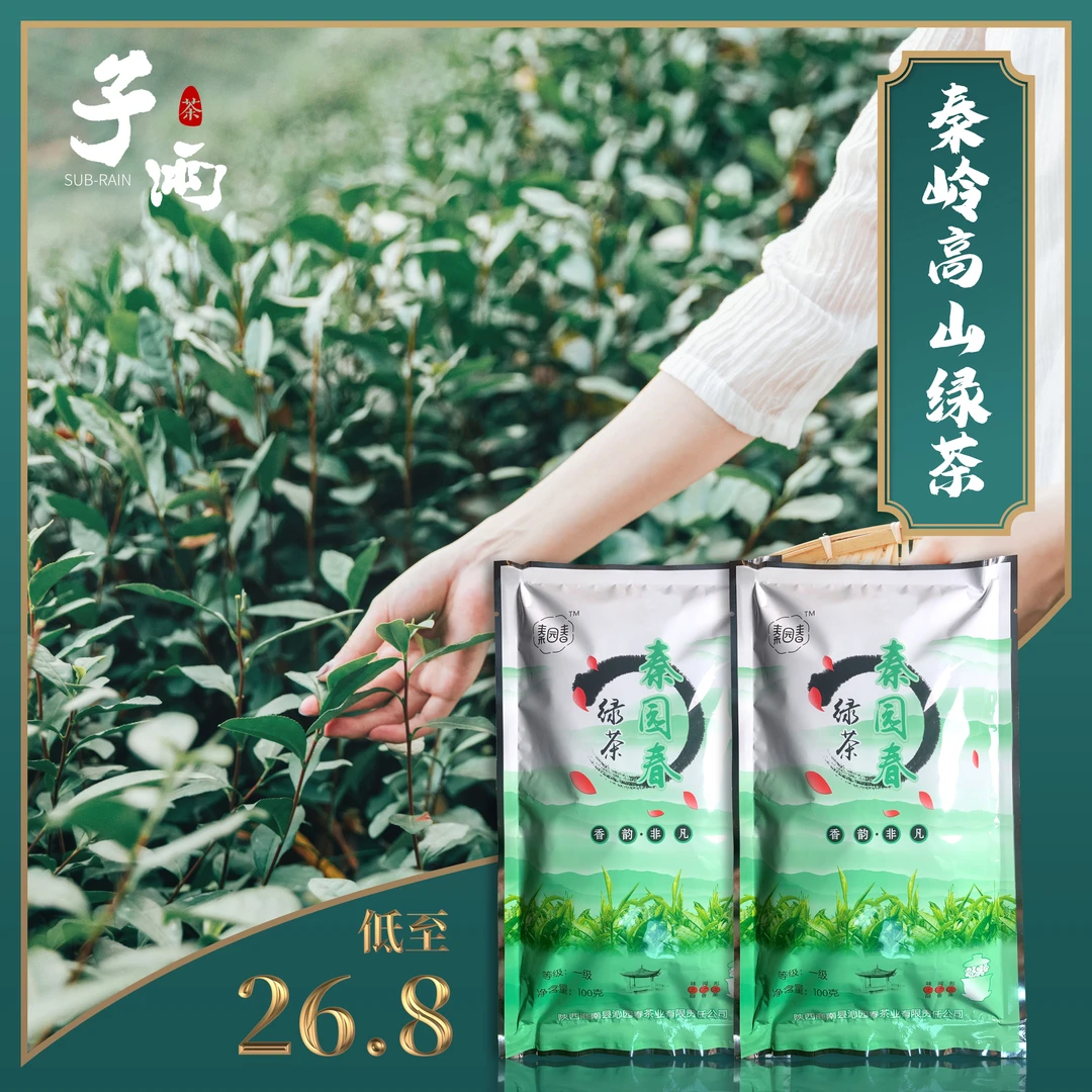 陕西秦岭高山绿茶商南口粮春茶