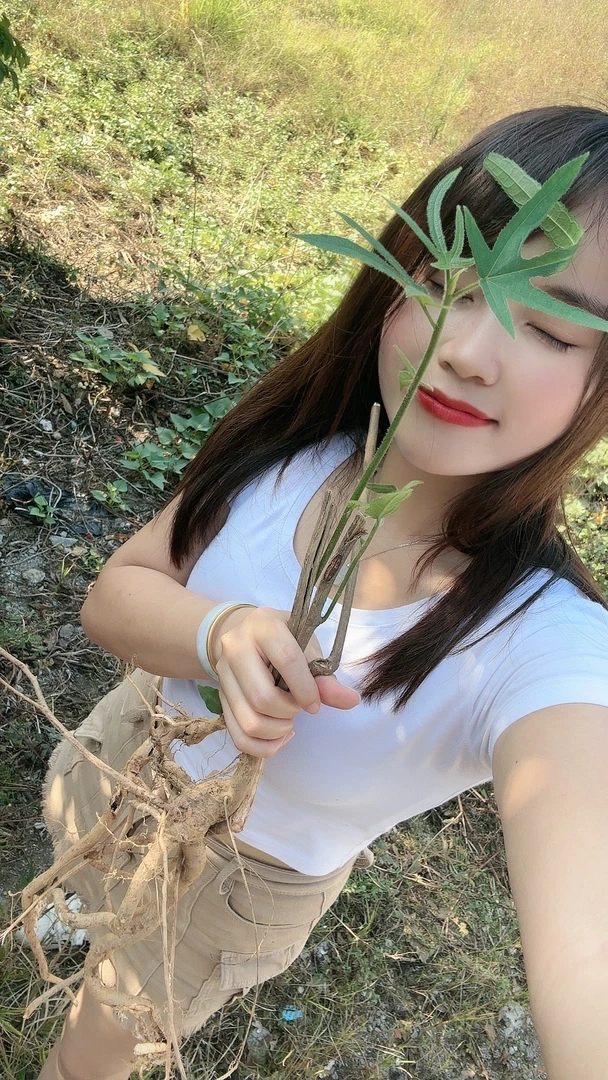 翁源英哥土特产五指毛桃煲汤食材