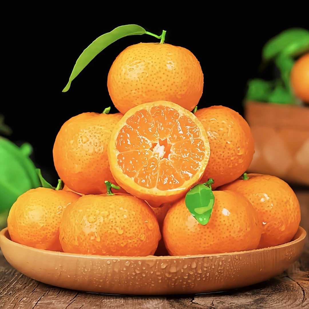 广东四会砂糖橘 500g