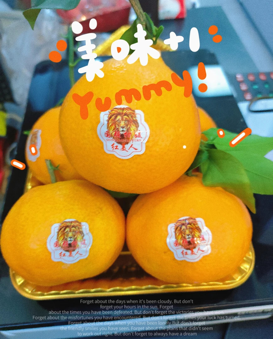 红美人爆汁果冻橙大果五斤