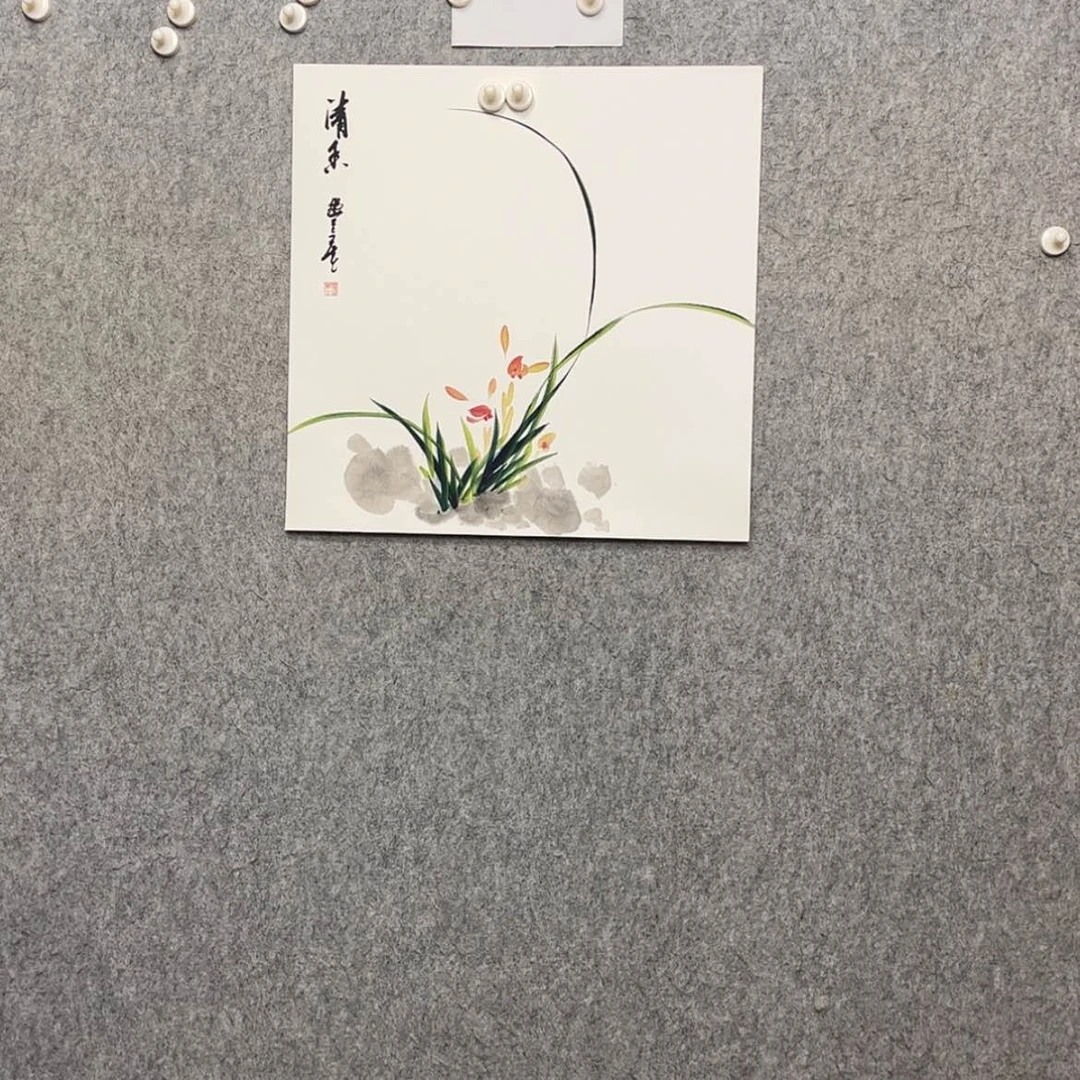 【闪购商品】绘画兰