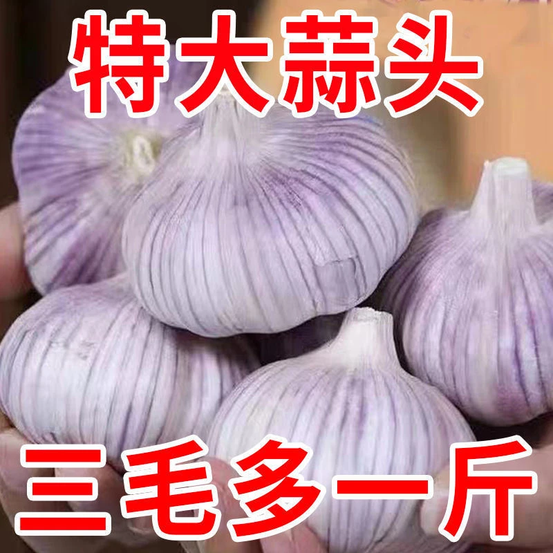 新店冲量特价干蒜5斤紫白皮金乡特产干大蒜头1斤2斤3斤9斤100g
