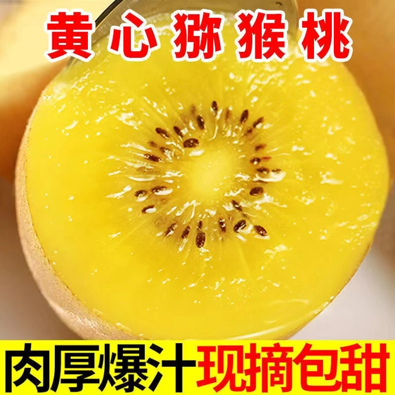 【壹何水果】四川蒲江黄心猕猴桃需催熟放软食用坏果包赔香甜欢迎下