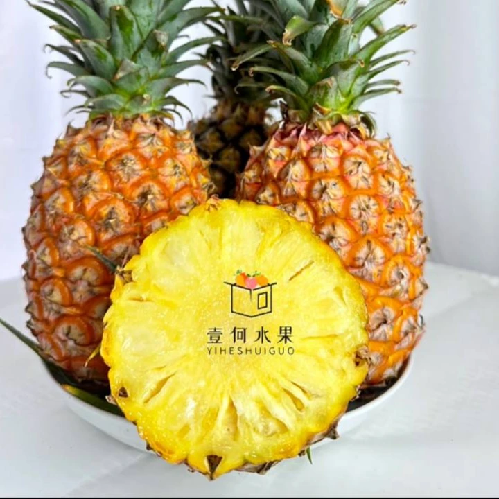 【影子专属】海南新鲜金钻凤梨水果汁香甜多汁应季水果收到即食