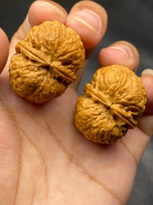 云南铁核桃手把件 将军榜 35尺 有天然阴皮。发货图片同款随机一对