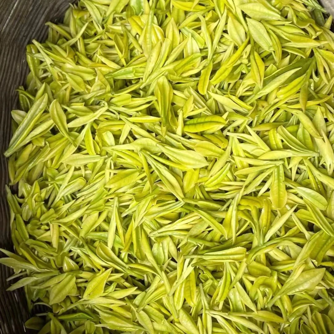 2025年熊猫奶香白茶