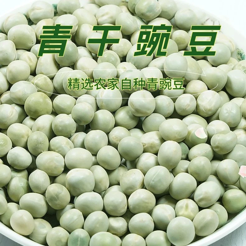 新货青豌豆新鲜饱满干豌豆农家自种生绿豌豆五谷杂粮干青豌豆散装