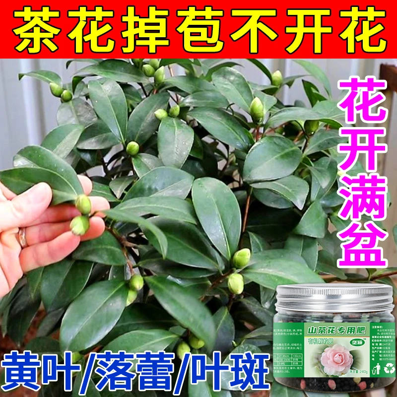 茶花肥料专用肥叶面肥喜酸植物营养液促花养花有机肥复合肥通用型