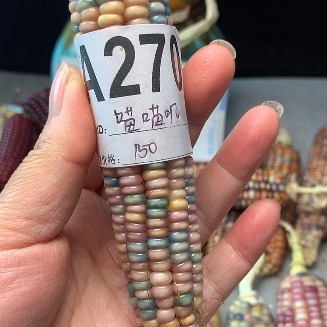 【闪购商品】喵**叽直播间商品不退不换