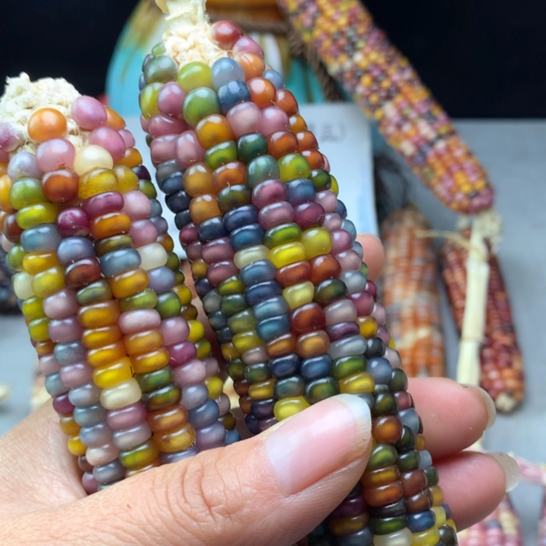 【闪购商品】喵**叽直播间商品不退不换