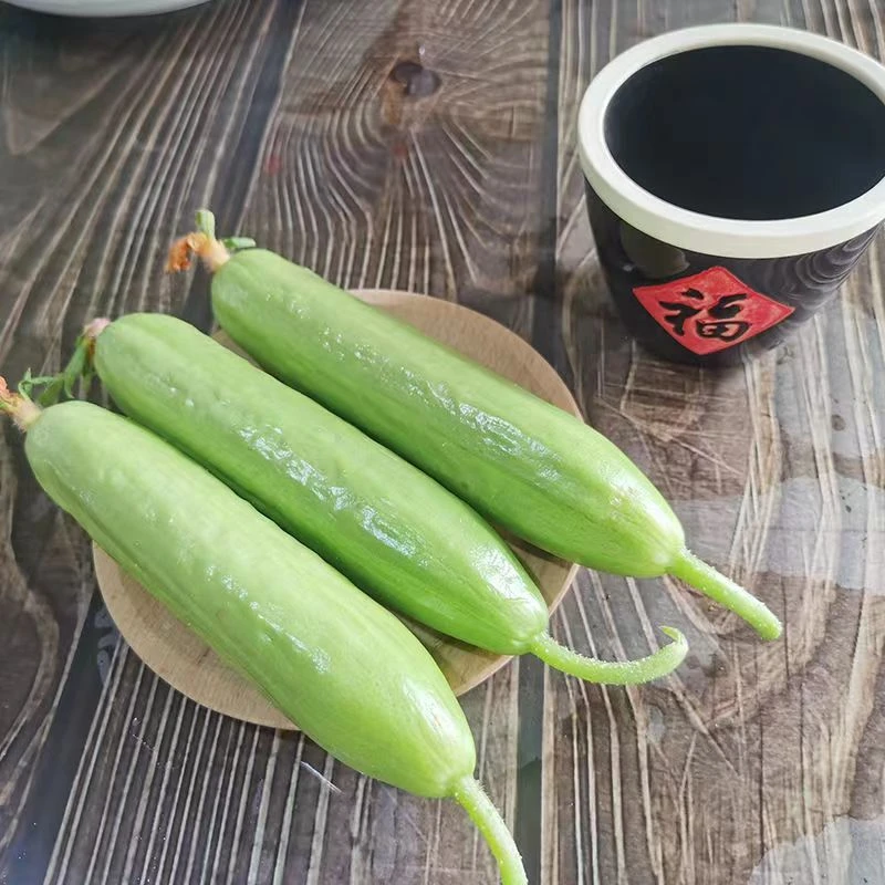 【1箱】水果黄瓜带箱2.5斤左右