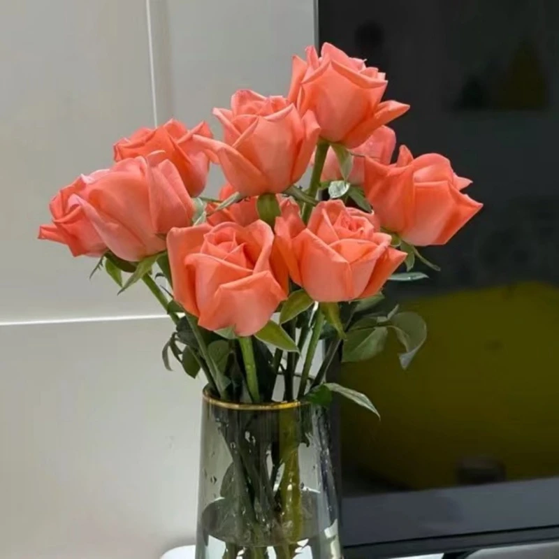 影星玫瑰+尤加利——耐养型花期久鲜花源头基地直发新鲜家