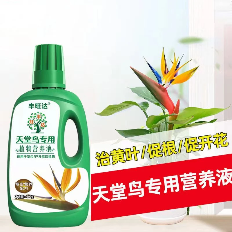 天堂鸟专用营养液琴叶榕鹤望兰绿叶植物养花生长通用型植物营养液