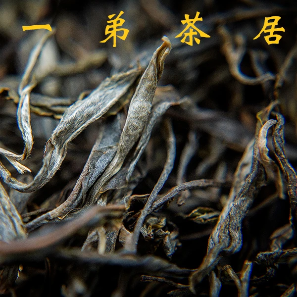 【黄草林古树】2023头春头采普洱生茶古树散茶