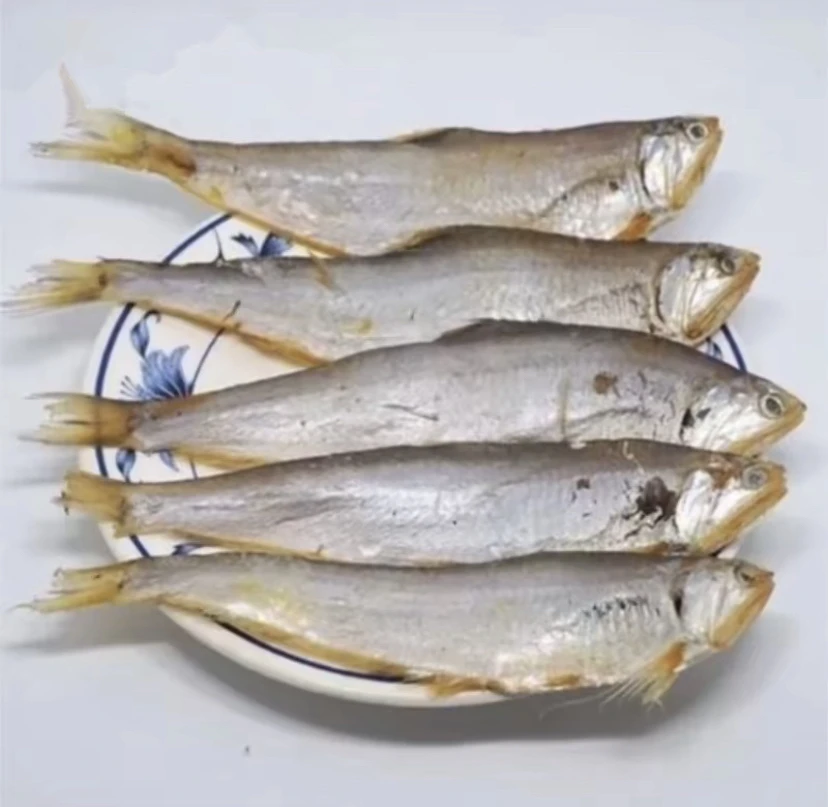 山东渤海湾马口鱼3斤-5斤