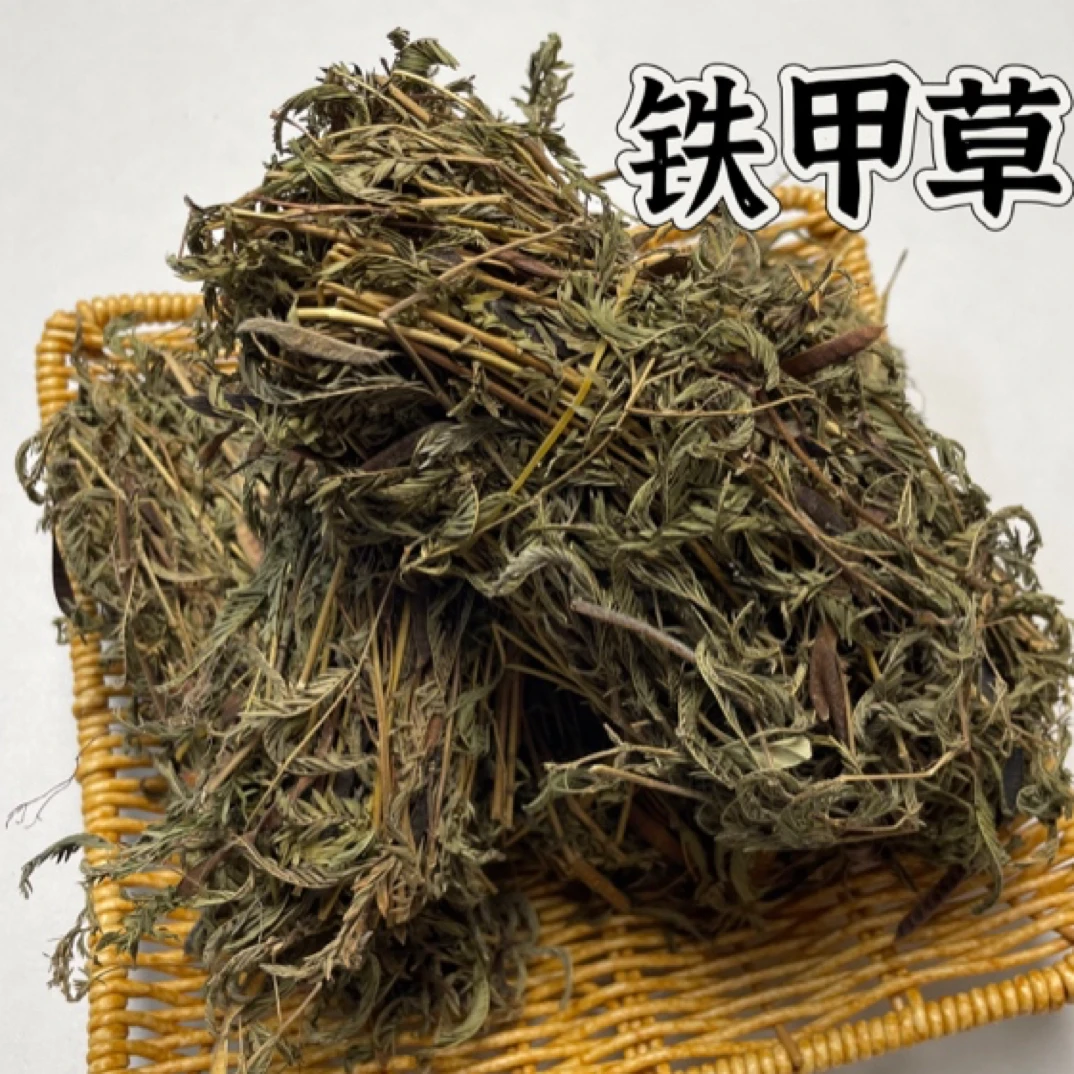 【黄姨专属】野生深山精选铁甲草