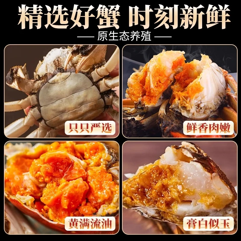 鲜活河蟹1.5-1.7两十只全公裸蟹不捆扎顺丰发货蟹黄满满蒸炒煮
