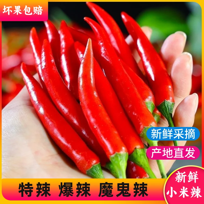 【云南新鲜小米辣】椒云南现摘现发小米辣特辣朝天椒1-9斤