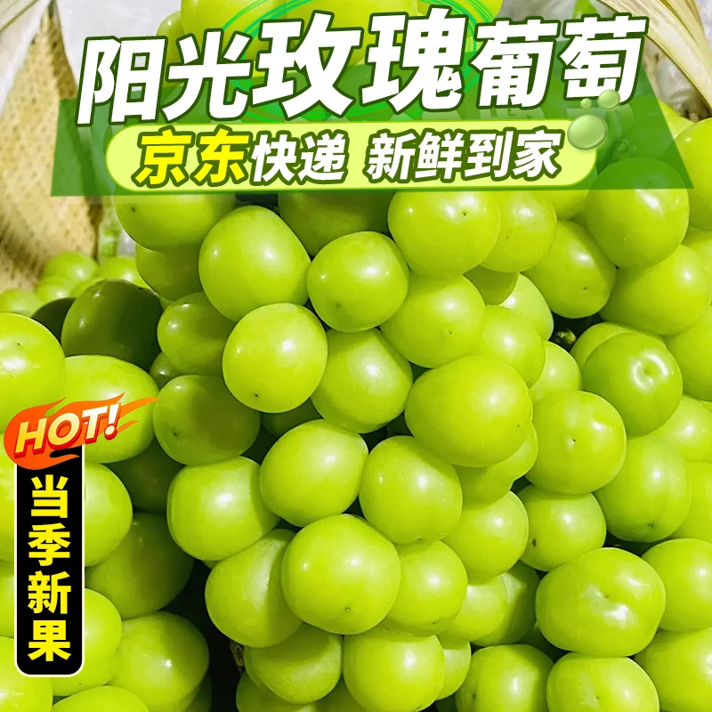陕西阳光玫瑰葡萄新鲜水果青提颗粒饱满肉厚味香果园现摘包邮2斤