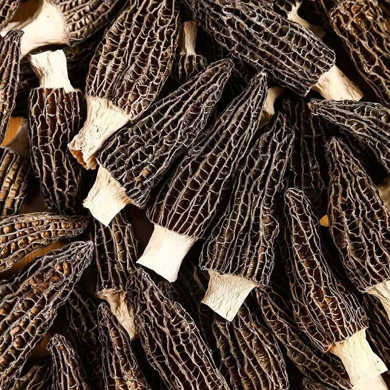 云南山货现收様～髑～菌土特产菇