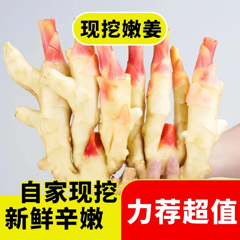 鲜姜 嫩姜红芽嫩仔姜2/3/5斤