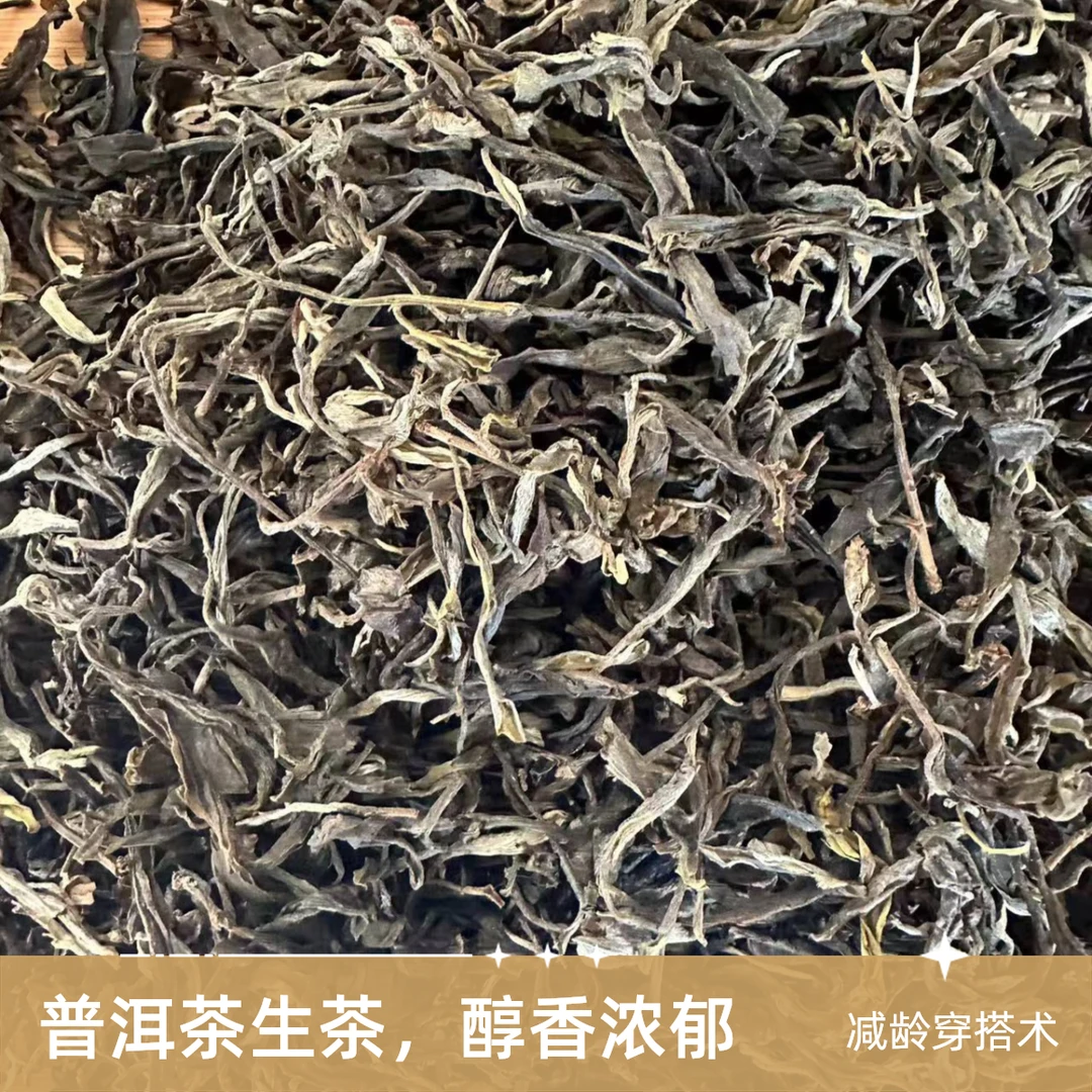 2025年猫耳朵春普洱茶生茶散茶