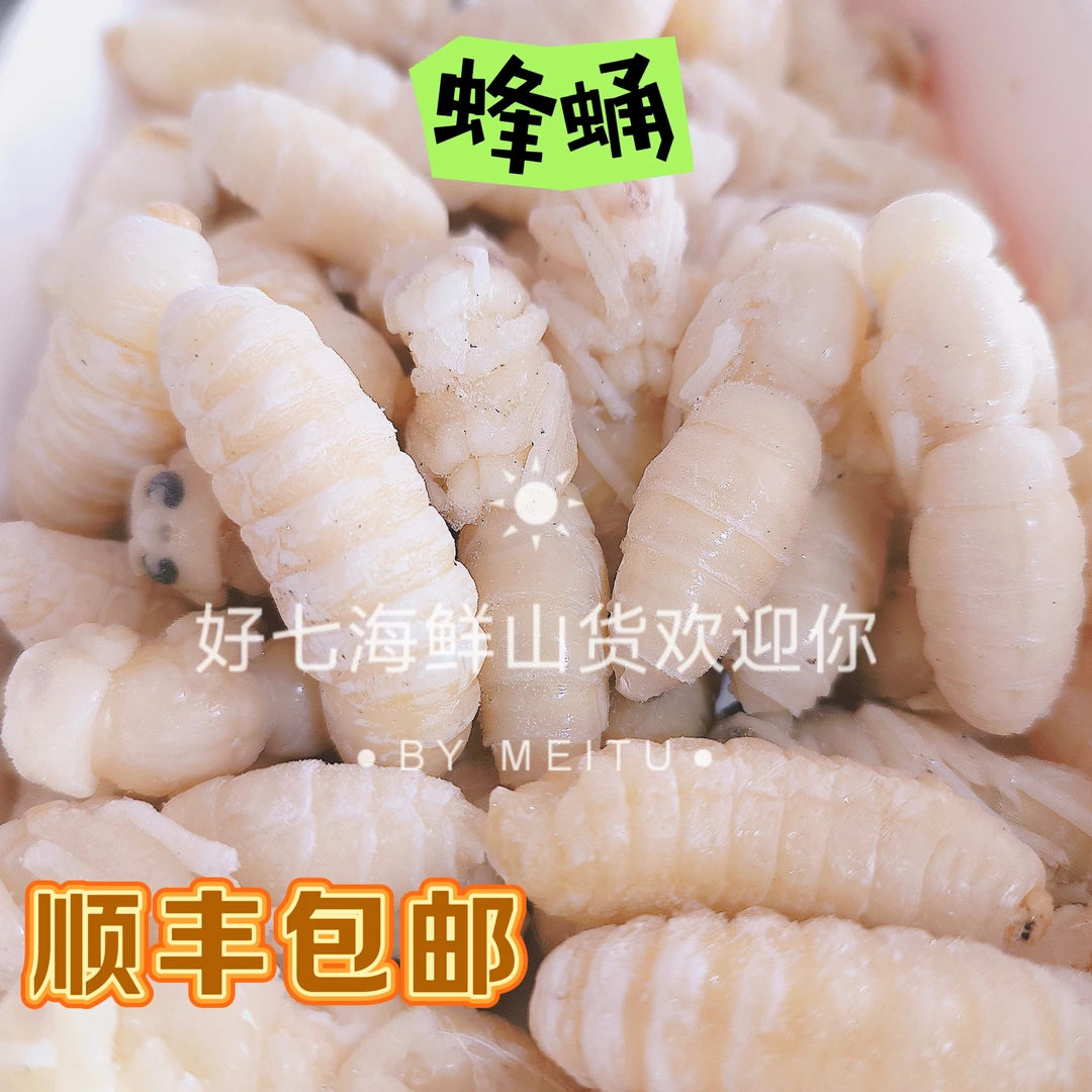 一级二级虎头蜂蛹可食用昆虫顺丰包邮