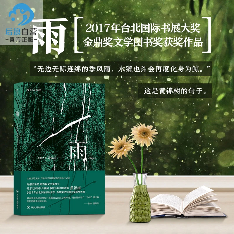 【书单来了】 雨 黄锦树 金鼎奖文学图书奖获奖作品 短篇小说书籍