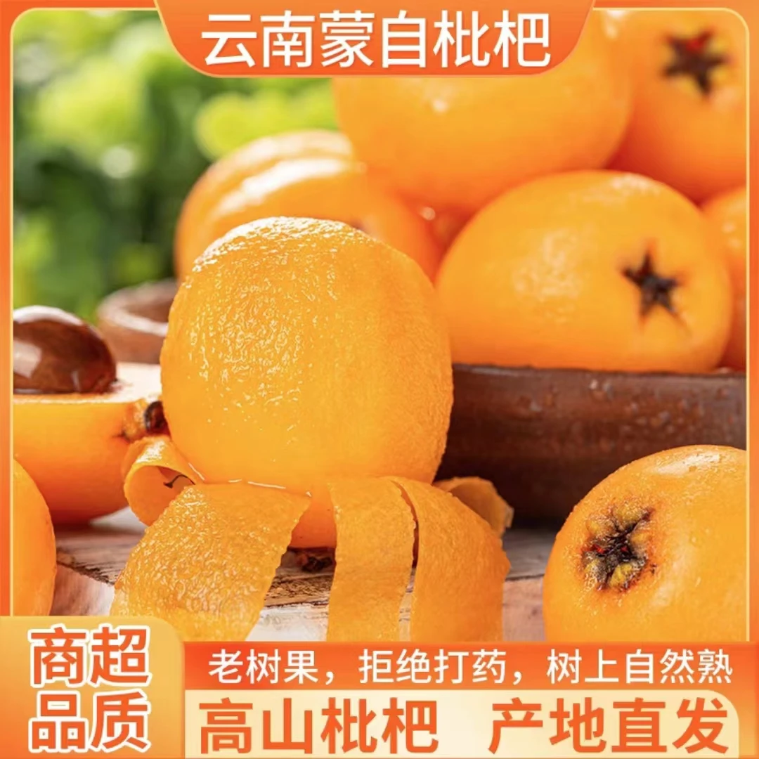【顺丰包邮】云南蒙自五星采摘枇杷新鲜多汁水果当季20克大果包邮