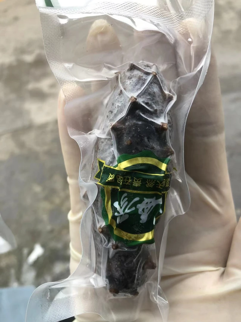 【磊哥推荐】海参一斤  一斤十根  即食海参
