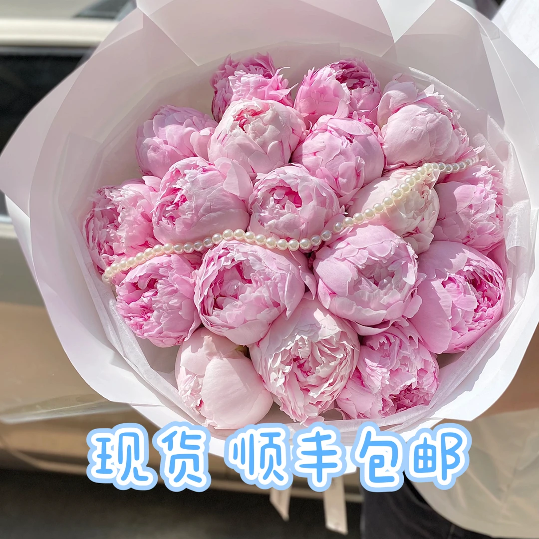 山东菏泽牡丹鲜切花油画牡丹重瓣芍药鲜切花情人节花束直发优惠