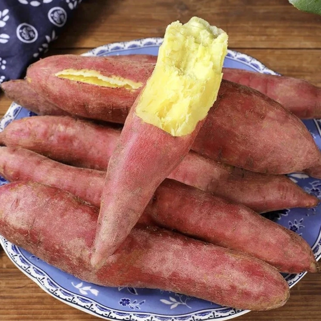 陕西板栗红薯 粉面干甜 现挖现发5/9斤 坏果包赔