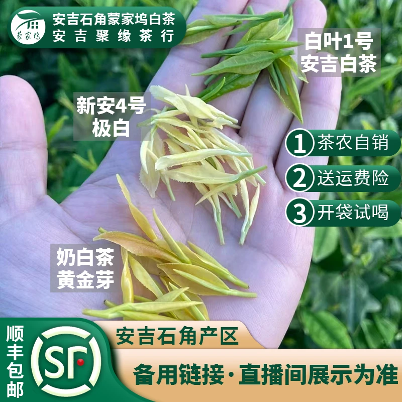[2025）年新茶]安吉原产地高山白茶备用链接，(福利1）味正香浓，耐泡