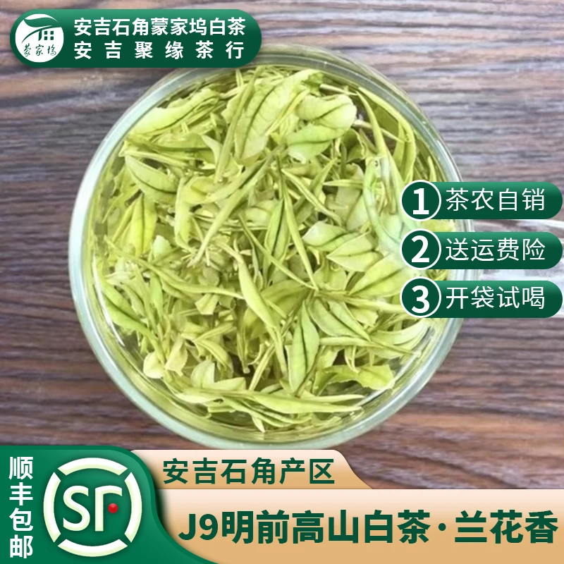 J9【2025新茶】24号!新上 !4号明前安吉高山白茶!兰花香。
